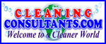 Cleaning Consultant Services